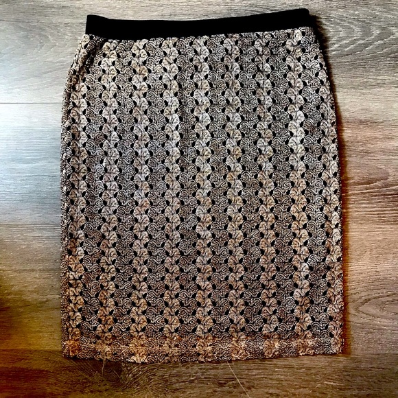 Silver & Black Skirt by Sunny Leigh - Picture 1 of 5